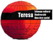 customLogo