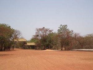 DSC02880