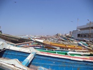 DSC03055