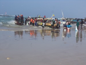 DSC03061