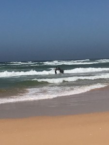 IMG-20180430-WA0008