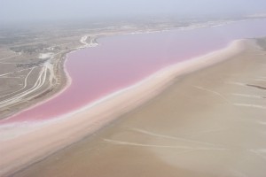 lac-rose (1)
