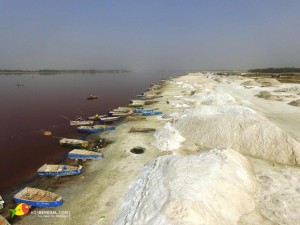 lac-rose-nov-17-_25_