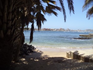 DSC03232
