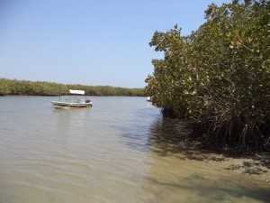 DSC03473 (1)