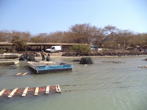DSC03485 (1)