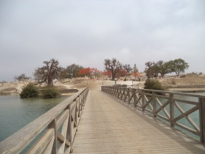 DSC03757