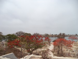 DSC03766 (1)