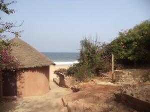 DSC03884