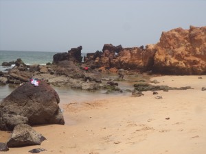 DSC03903