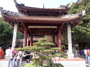 Le kiosque et un bonzaï
