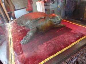 La tortue