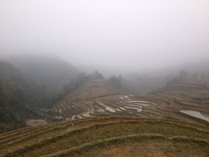 Le brouillard se lève (un peu)