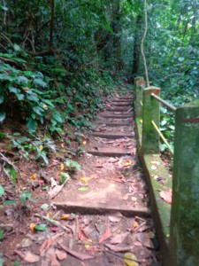 Début du chemin "aller"