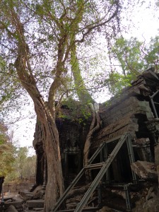 Ta Prohm