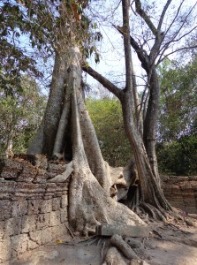 Ta Prohm