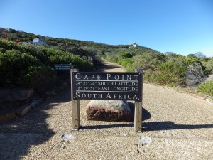 Cape Point (98)
