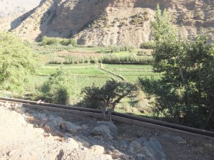 Paysage arboré dans un village du Haut Atlas
