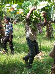 photo_2018-10-10_07-12-42